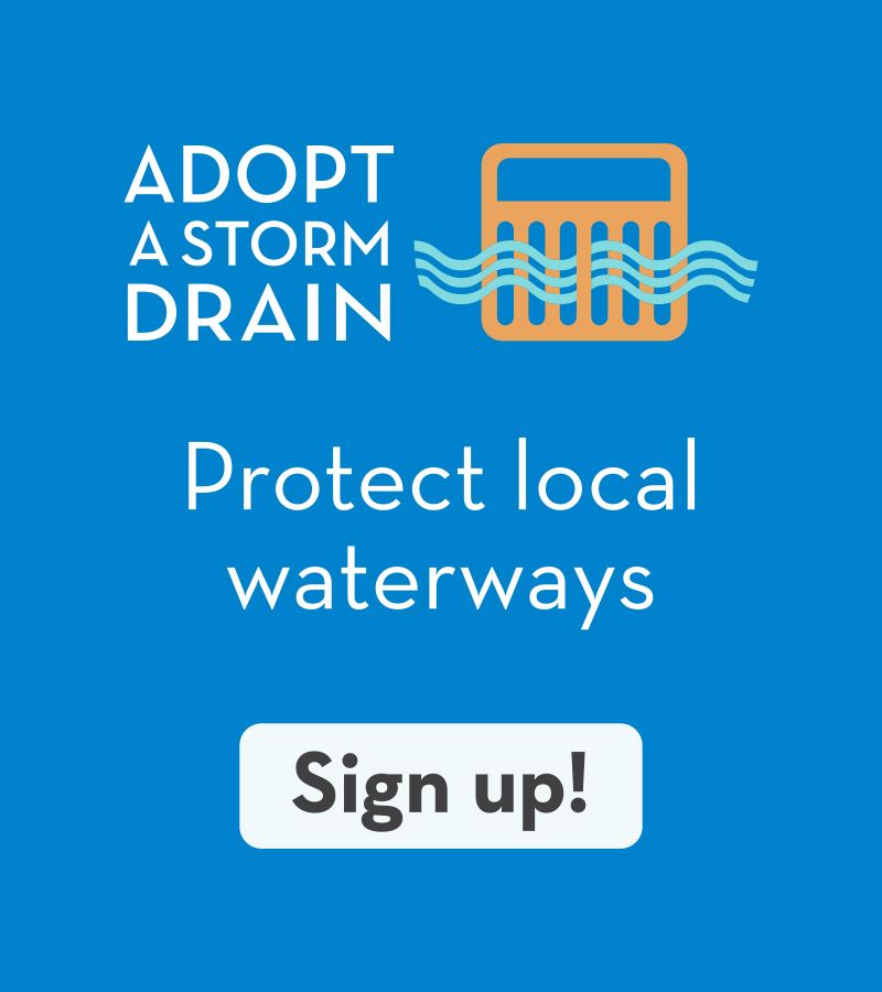 Adopt a storm drain and protect local waterways