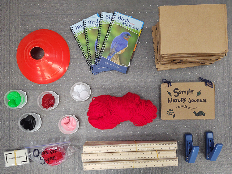yarn, rulers, bird book and more phenology bin contents